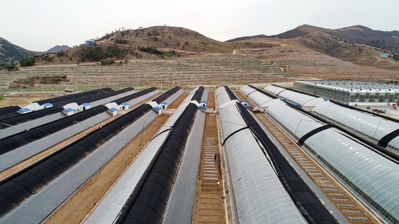 Mua 100% polypropylene công nghệ tiên tiến chống bụi kiểm soát dịch hại giá rẻ thực tế vải không dệt cho nông nghiệp online manufacture