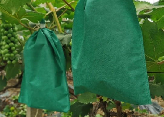 Mua Thùng bọc vải không dệt để bảo vệ cao cấp cho trồng chuối online manufacture