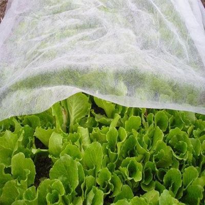 Mua Hygiene Agriculture Industry PP Nonwoven Fabric Hydropilic / Hydrophobic online manufacture