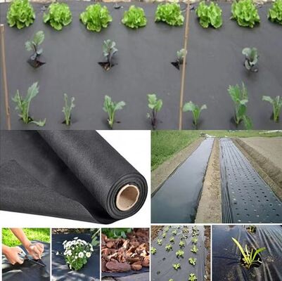 Mua Vegetable Agriculture Nonwoven Fabric Anti - frost Fruit Bag Winter Protect Use Nonwoven online manufacture