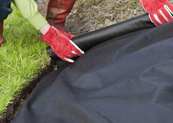 Mua Vải phủ mặt đất Không dệt Weed Control, Vải tổng hợp không dệt online manufacture