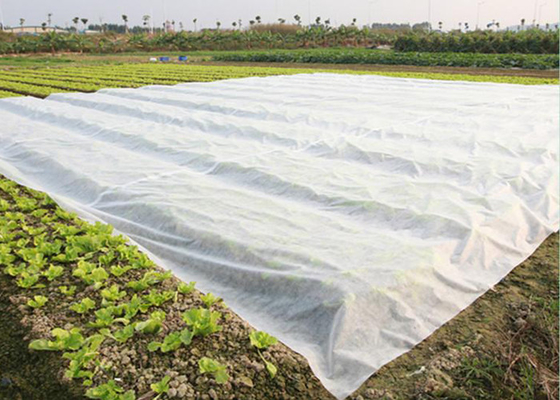 Mua Sân vườn thoáng khí Nông nghiệp Không dệt Vải Chống Frost Weed Killer Mặt đất online manufacture