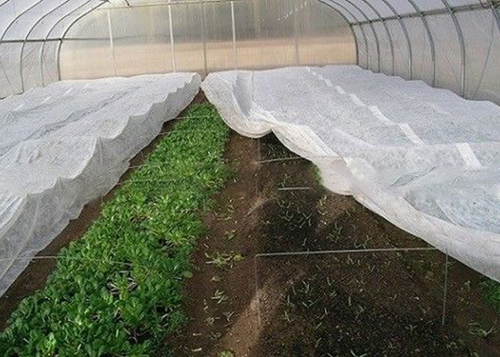 Mua Cảnh quan Kiểm soát cỏ dại Chất liệu vải PP không dệt cho vườn nhà Làm vườn miễn phí online manufacture