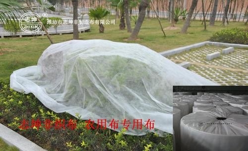 Mua 100% Polypropylen Nông nghiệp Không dệt Vải Kiểm soát mặt đất Che lưới Lưới Vải online manufacture