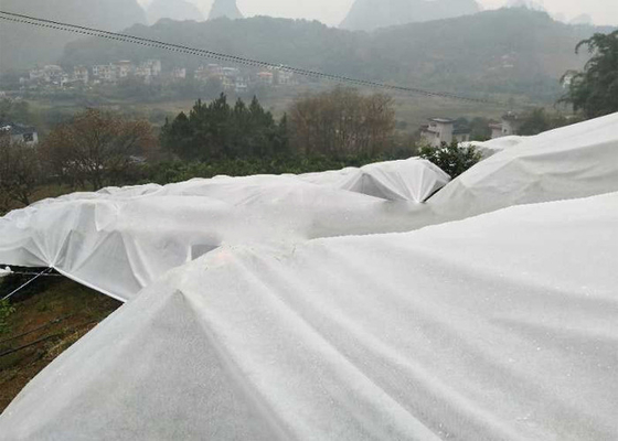 Mua Trắng che phủ mặt đất Weed kiểm soát vải nhẹ không độc hại cho cây ăn quả online manufacture