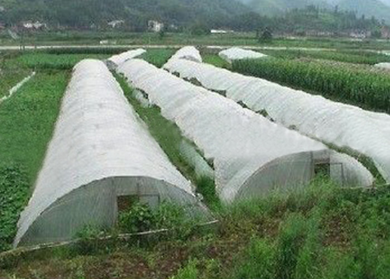 Mua Nông nghiệp nhẹ Vải không dệt Màu sắc khác nhau có sẵn online manufacture