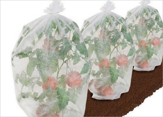 Mua Nông nghiệp thân thiện với môi trường PP không dệt Vải 1% - 4% OEM ODM được xử lý UV online manufacture