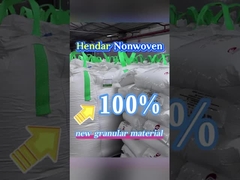 Ai có thể bảo vệ sức khỏe của 400 triệu phụ nữ?