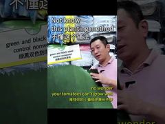 Hai màu không dệt xanh lá cây và đen để kiểm soát cỏ dại và phản xạ ánh sáng