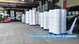 Nhà sản xuất vải không dệt đáng tin cậy tải container đầy đủ