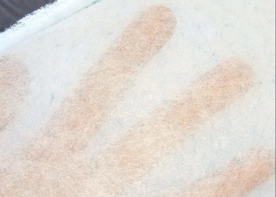 Tên